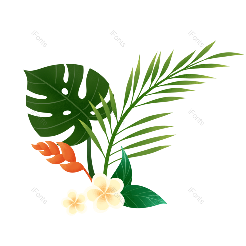 叶子图片,花卉元素,花草PNG,树叶免抠素材